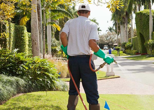 About West Point IA Pest Control